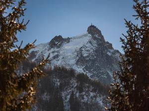 Studio Chamonix 20m², 4 pers, balcon, parking - FR-1-517-40