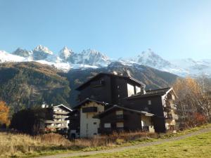 Agréable studio avec balcon proche des pistes à Chamonix, parking inclus - FR-1-517-52