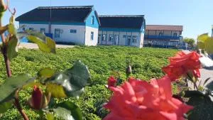 Pensiune Agroturistica CASA LETEA - Letea