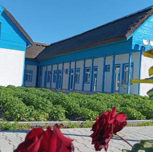 Pensiune Agroturistica CASA LETEA