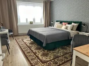 Byt 1KK v centru Jihlavy - Střítež