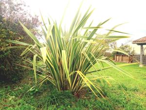 Maisons de vacances La Maison Pop-70-s-Spot Nature-B&B : photos des chambres