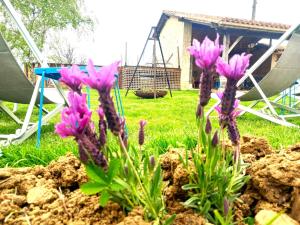 Maisons de vacances La Maison Pop-70-s-Spot Nature-B&B : photos des chambres