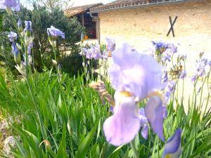 Maisons de vacances La Maison Pop-70-s-Spot Nature-B&B : photos des chambres