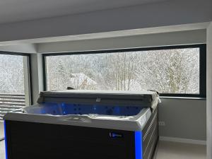 Vila Epic&Slanic Moldova