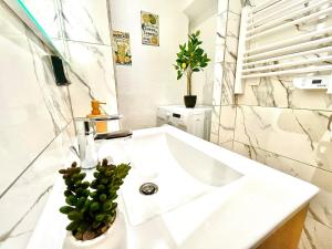 Le Zeste, centre parking gratuit