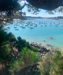 Maisons de vacances Magnifique bas de villa deux chambres situe pres des plages et du golf : photos des chambres