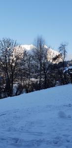 Appartements Appart en rez de jardin clos face au Mont BLANC : photos des chambres