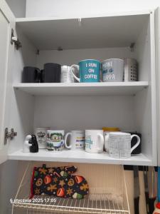 Zieleniec-SKI-Duszniki-Zdrój