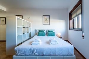 Plan C Downtown Apartment