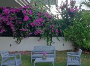 House - Cesme Boyalık - Ovacık