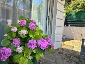 House - Cesme Boyalık