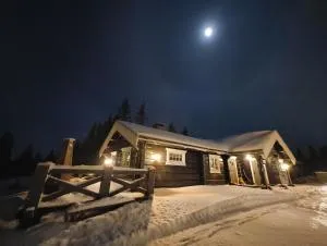 Bånseterlodgen - 科威费耶尔