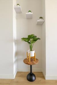 Neria at Ellipse Waterfall