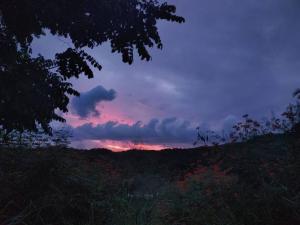 Casa Pajaros - Skyview