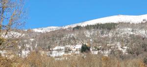 LES CHALETS de MONTORGUEIL : photos des chambres