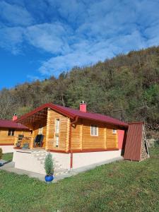 Milica 1 Mezdrejska 87