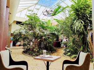 Hotel Jardines del Centro