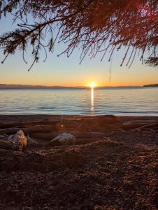 Cozy Beachfront Cabin at Woodside Farm
