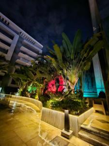 Sheraton Ocean 7-PRIVATE SUITES - Without Pool access