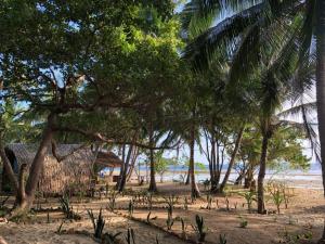 DANG dang Balbago Beach