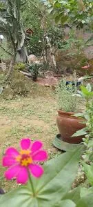 Eco Camping do Véu - Piabetá