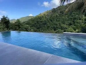 La Canopée des Anses - Grande Anse