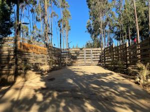 Glamping Eluney Bucalemu