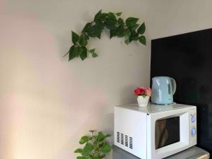 Guest House Zwell Hakata Ohori Park