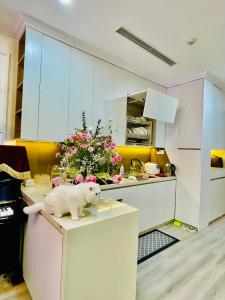 Homestay Times City Park Hill- 458 Minh Khai, Hai Bà Trưng