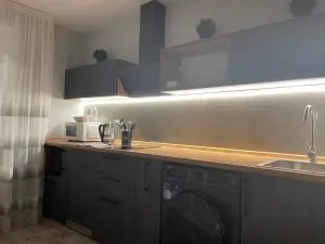 Однокомнатная квартира - Zaulʼbinskoye