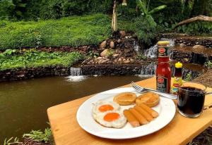 DoiLom Elephant Farmstay