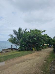 Tom and Amay beach front