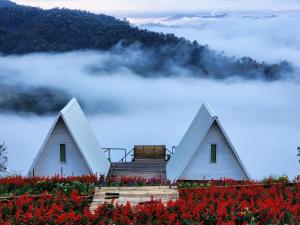 Mr Shin Farmstay นย๊อยง ฟาร์มสเตย์