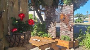 Jeffreys Bay - Life on the Canals