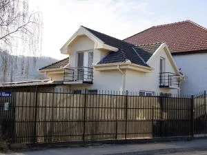 Casa Ibrași - 卢戈日