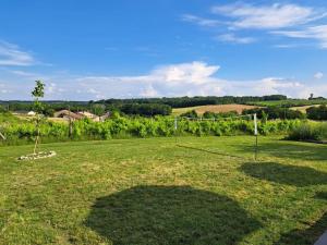 Maisons de vacances Charmant gite de 4 a 6 personnes a 5km de Duras : photos des chambres