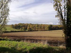 Maisons de vacances Charmant gite de 4 a 6 personnes a 5km de Duras : photos des chambres