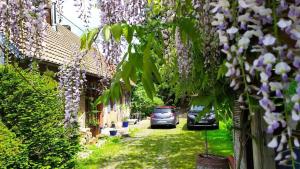 Appartements Gite de charme classe 3 etoiles dans ferme du XIXe restauree : photos des chambres