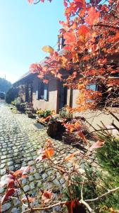 Appartements Gite de charme classe 3 etoiles dans ferme du XIXe restauree : photos des chambres