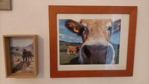 Appartements Gite de charme classe 3 etoiles dans ferme du XIXe restauree : photos des chambres