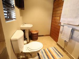 Modern 1 Bedroom Apartment