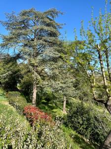 B&B / Chambres d'hotes Chambre avec vue : photos des chambres