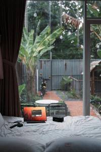 dove home - barn, bird, chicken, sunshine, flower, paceful