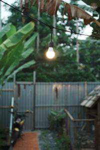 dove home - barn, bird, chicken, sunshine, flower, paceful