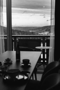 Forest Park Resort & SPA