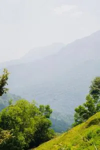 secret view - Nawelagama