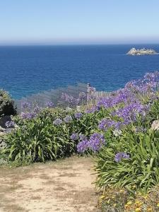 Maisons de vacances La maison de la plage 4 etoiles en front de mer SPA interieur GR34 : photos des chambres