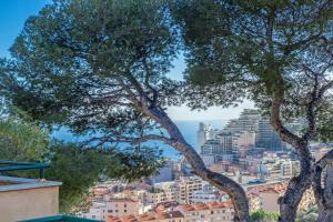 Appartements Porte de Monaco - Terrasse vue mer - Parking - CN : Appartement 2 Chambres