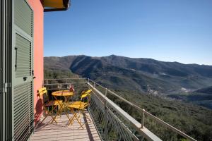 Il nido tra gli ulivi